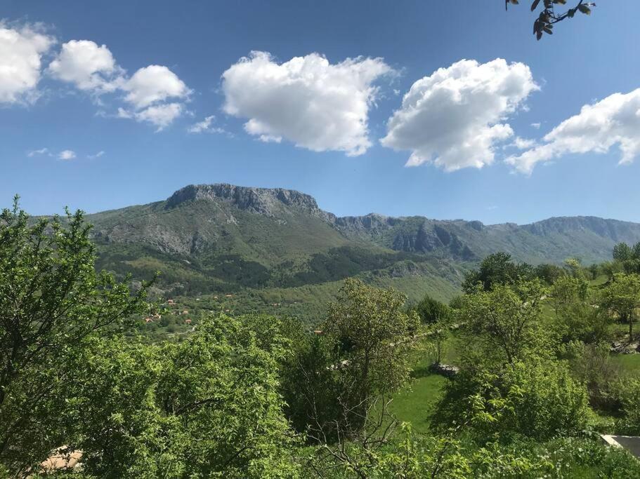 Grandma'S Hut Βίλα Nikšić Εξωτερικό φωτογραφία