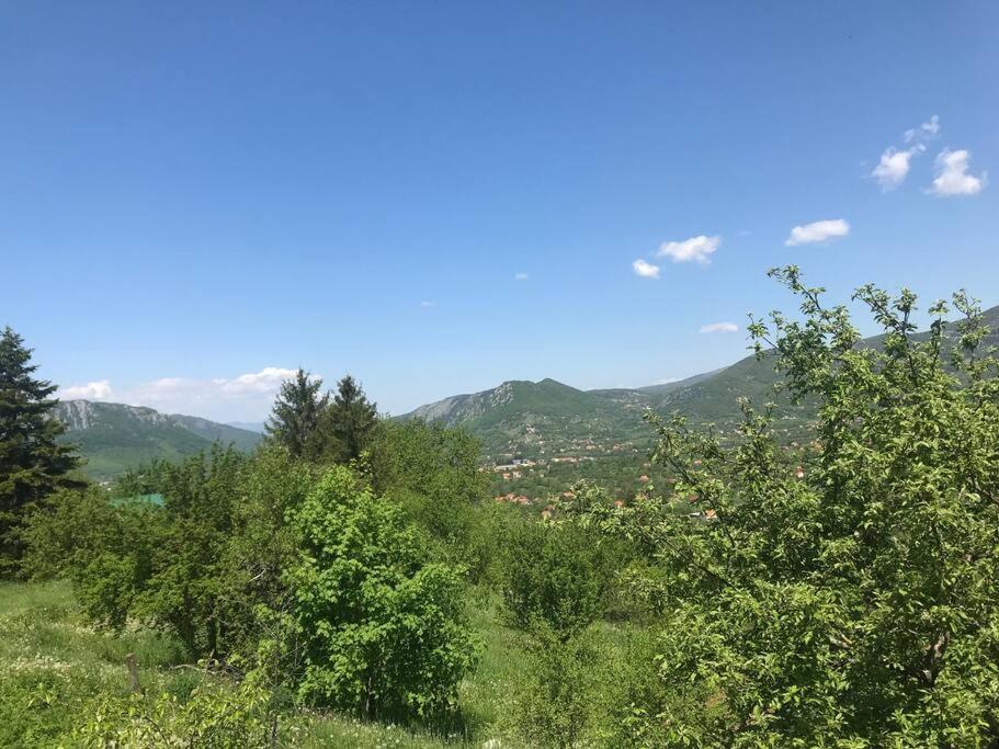 Grandma'S Hut Βίλα Nikšić Εξωτερικό φωτογραφία